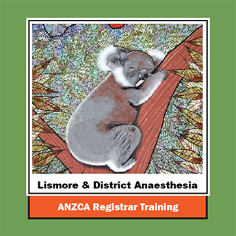 ANZCA Registrar Training 2024