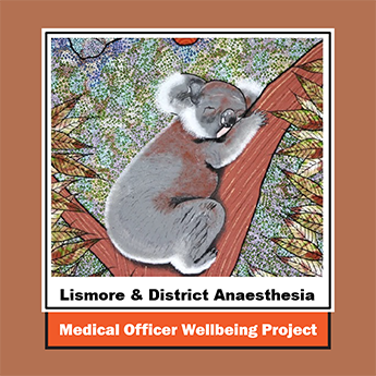 Anaesthetic Medical Officer Wellbeing Project 2024